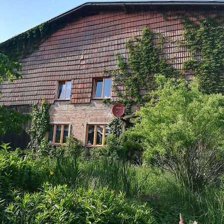 Ferien In Der Scheune Dettmannsdorf Екстериор снимка