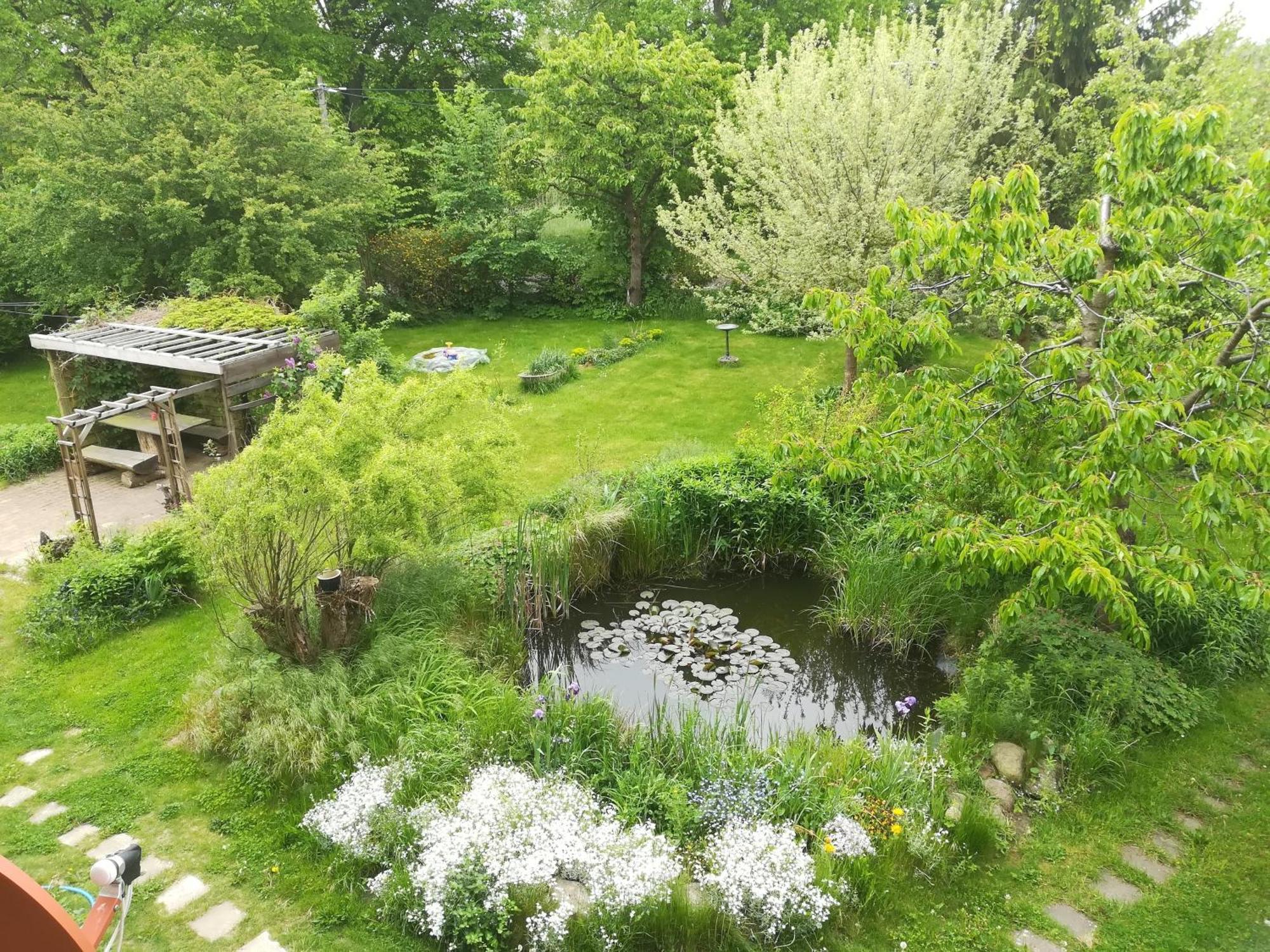 Ferien In Der Scheune Dettmannsdorf Екстериор снимка